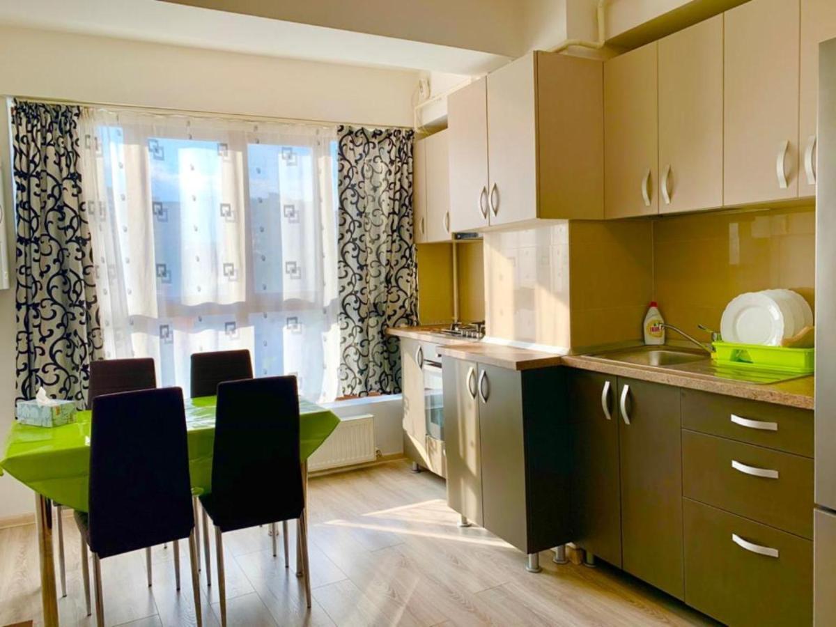 Elyse Comfortable Apartment Close To Palas Mall Яссы Экстерьер фото