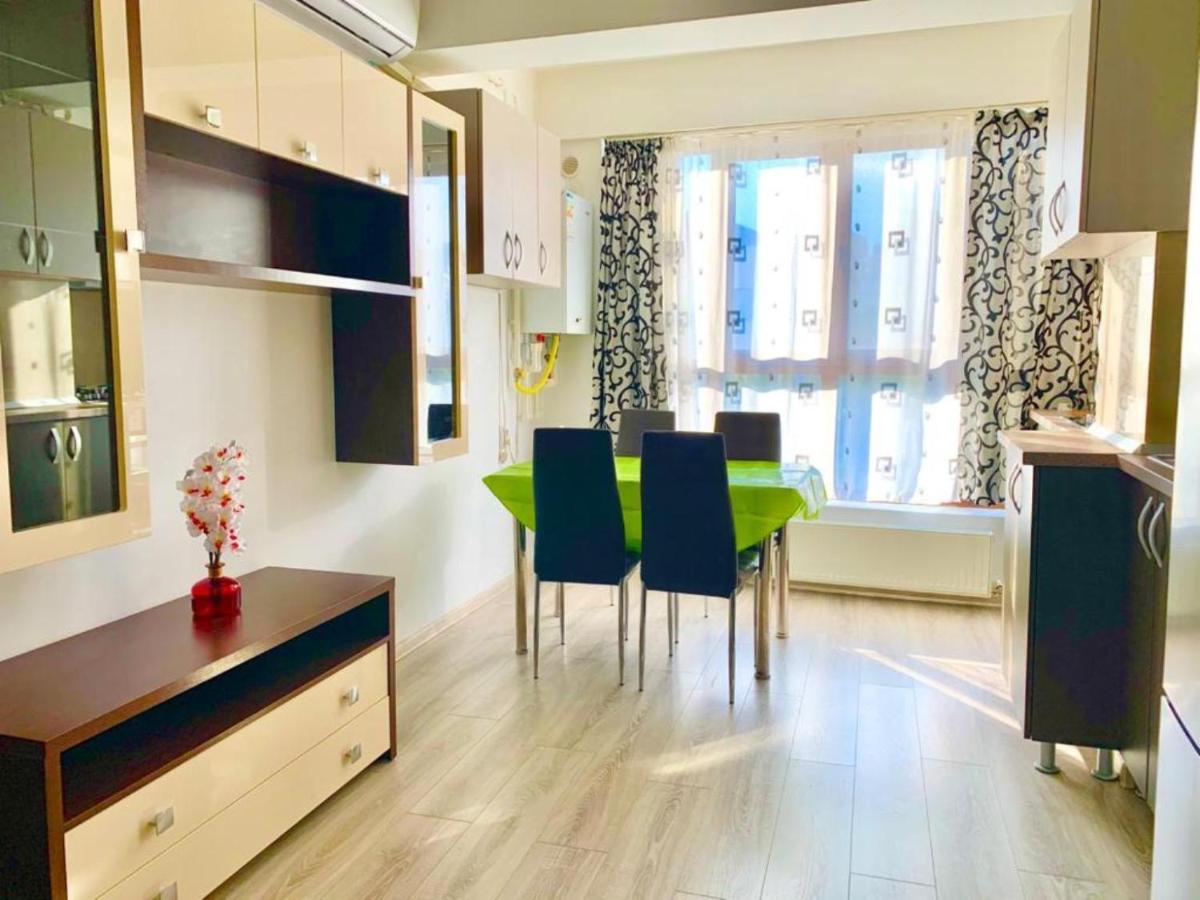 Elyse Comfortable Apartment Close To Palas Mall Яссы Экстерьер фото